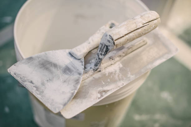 Best Environmental Consulting for Mold Prevention  in Stowell, TX
