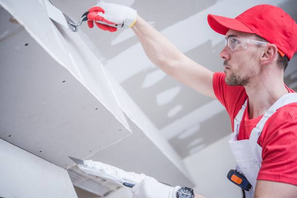 Best Mold Remediation for Healthcare Facilities  in Stowell, TX