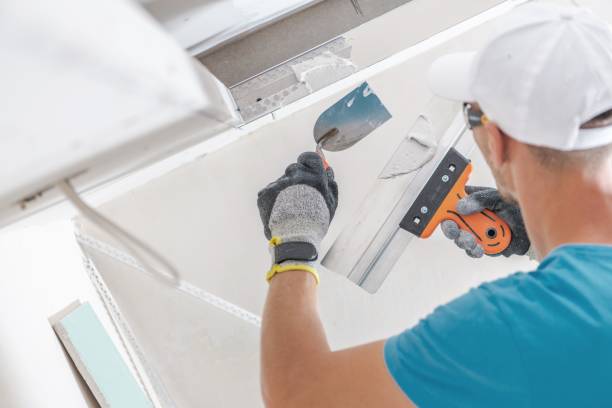 Best Commercial Mold Inspection  in Stowell, TX